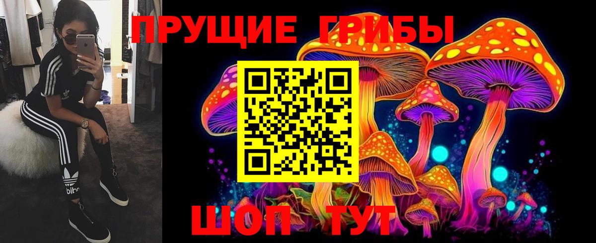 Псилоцибиновые грибы Psilocybine cubensis Уссурийск